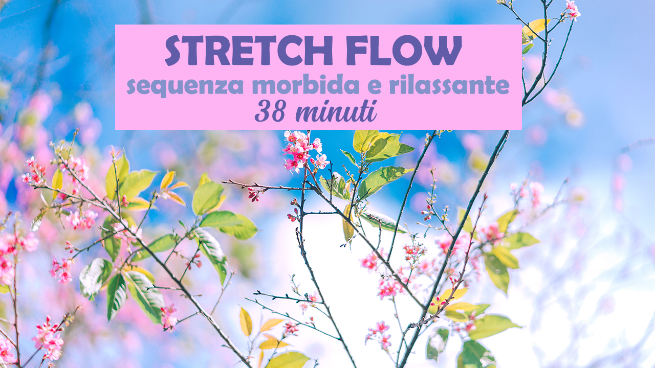 Stretch Flow - sequenza morbida e rilassante