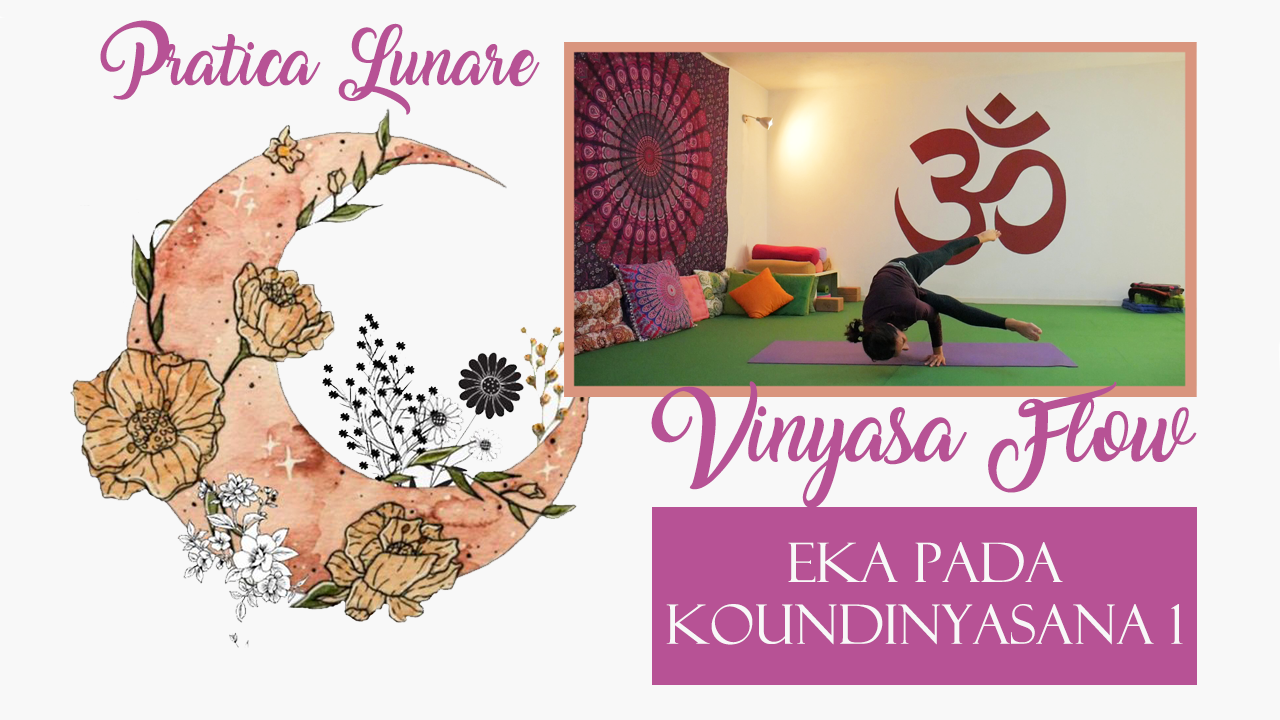 Eka Pada Koundinyasana I - flow lunare