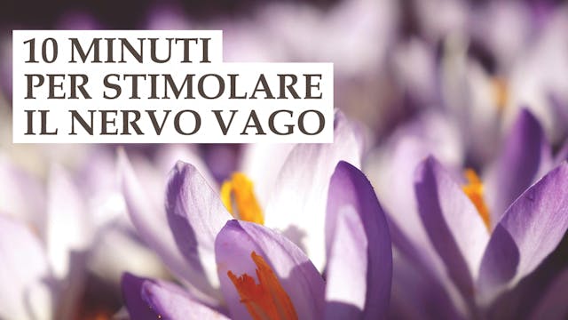 Stimola il Nervo Vago