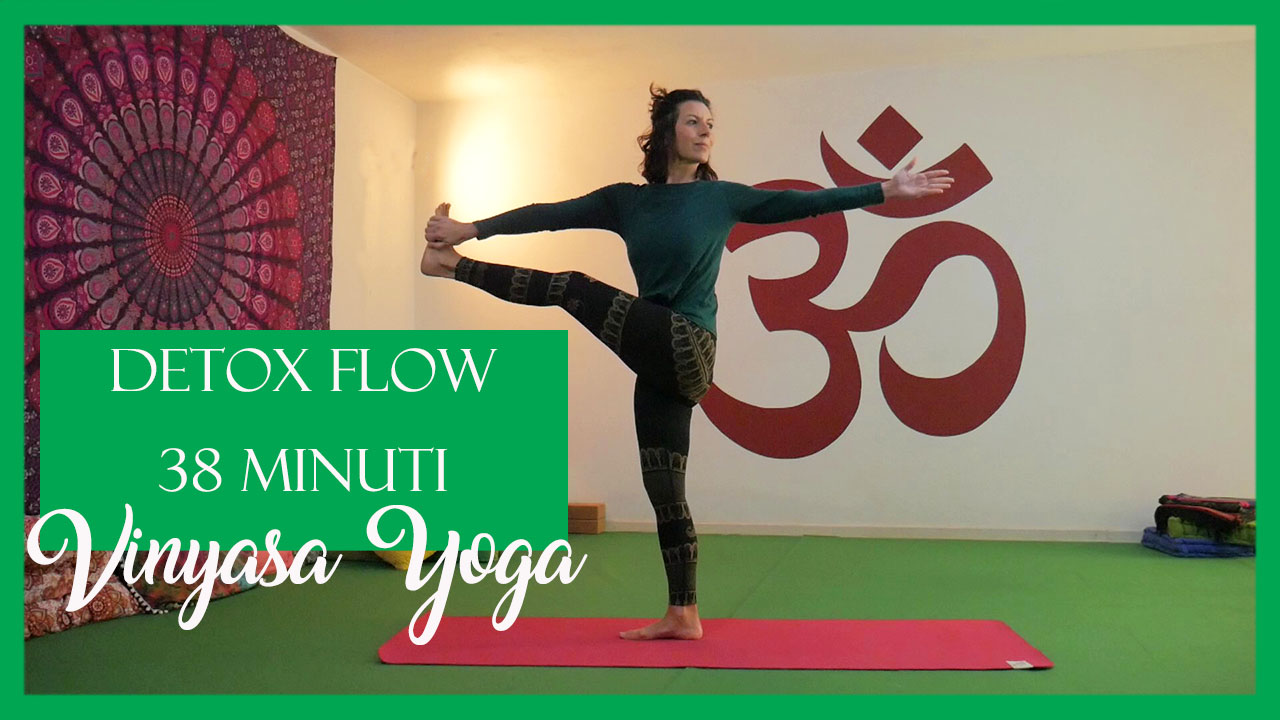 Vinyasa Flow - torsioni