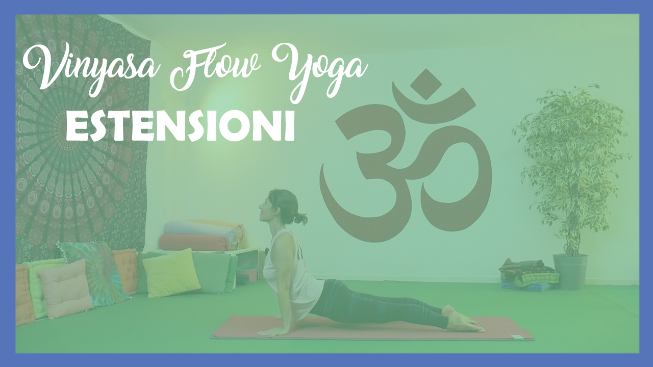 Vinyasa Flow Yoga - Estensioni