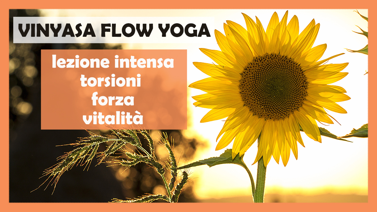 Vinyasa Flow - lezione intensa