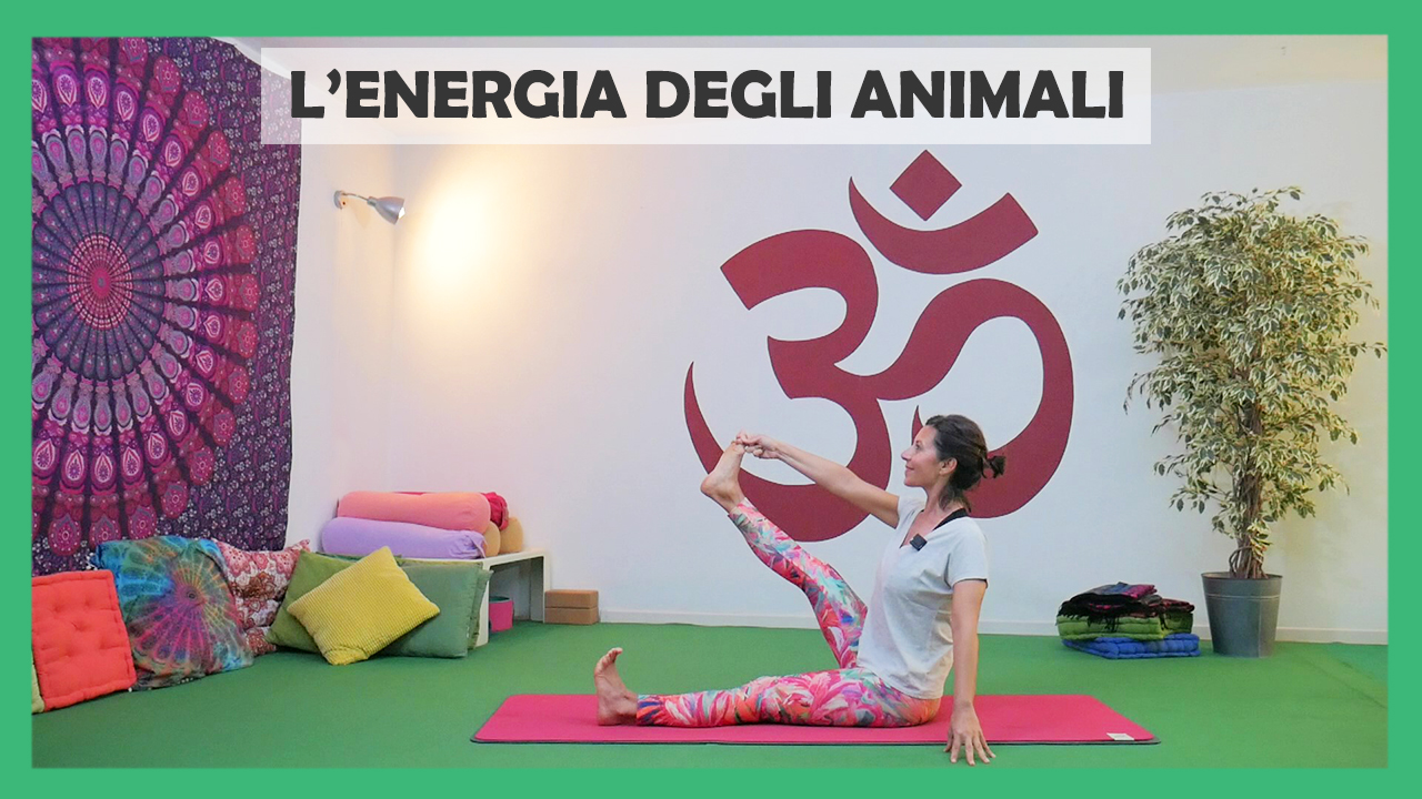 L'energia degli animali