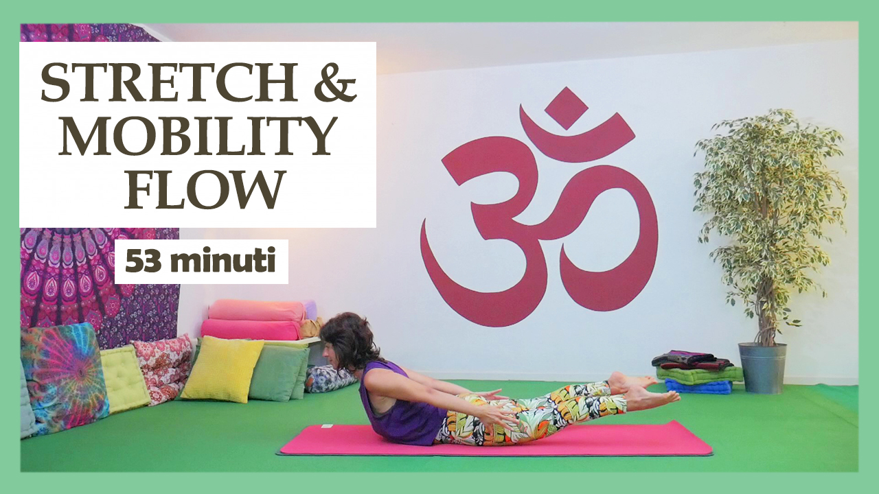 Stretch & Mobility Flow