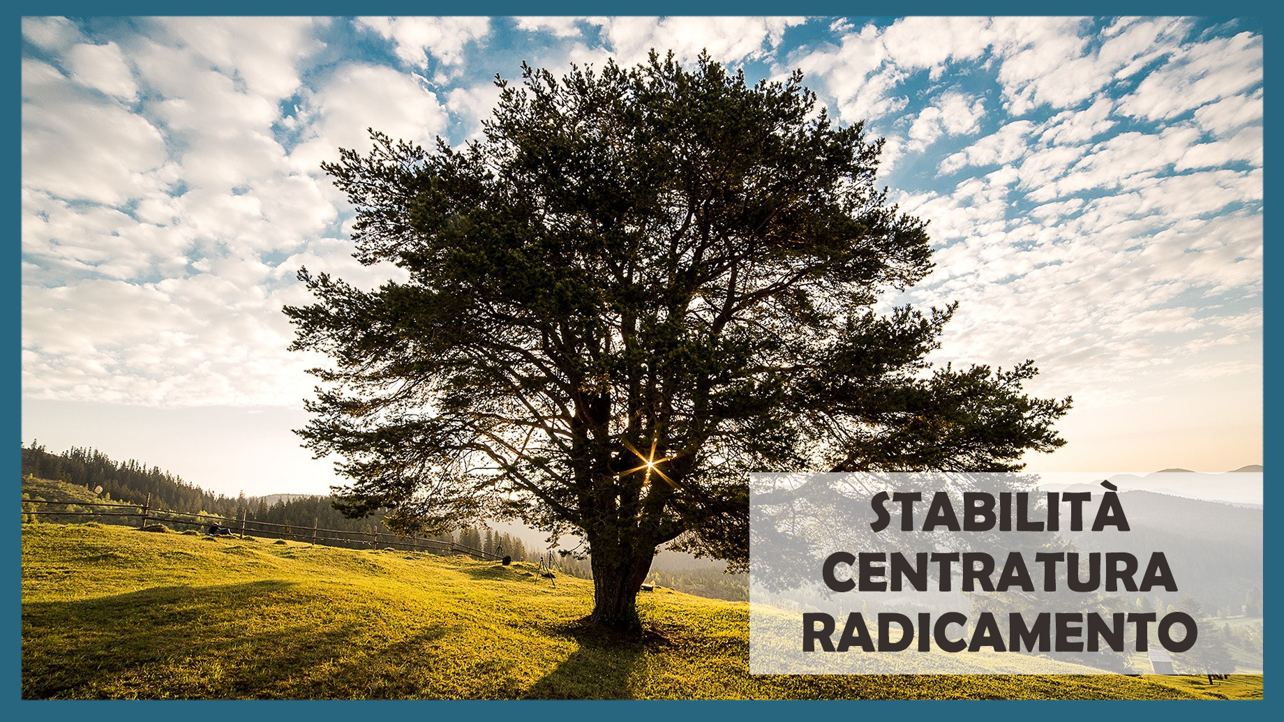 STABILITÀ - CENTRATURA - RADICAMENTO