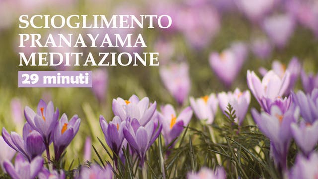 Scioglimento Pranayama Meditazione