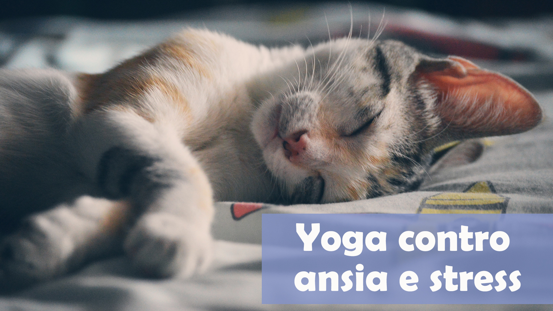 YOGA CONTRO ANSIA E STRESS