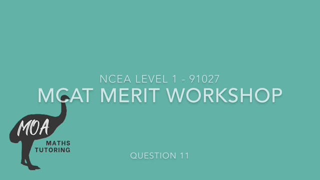 NCEA 91027 - MCAT Merit workshop Question 11