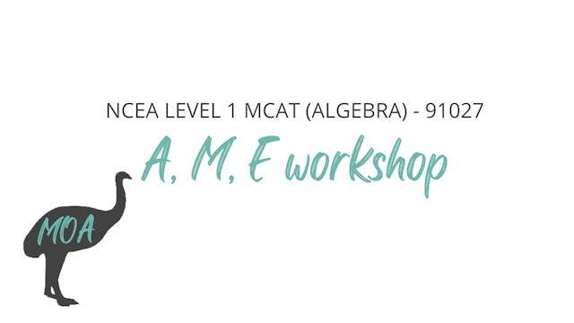 NCEA level 1 MCAT Package (A, M, E)