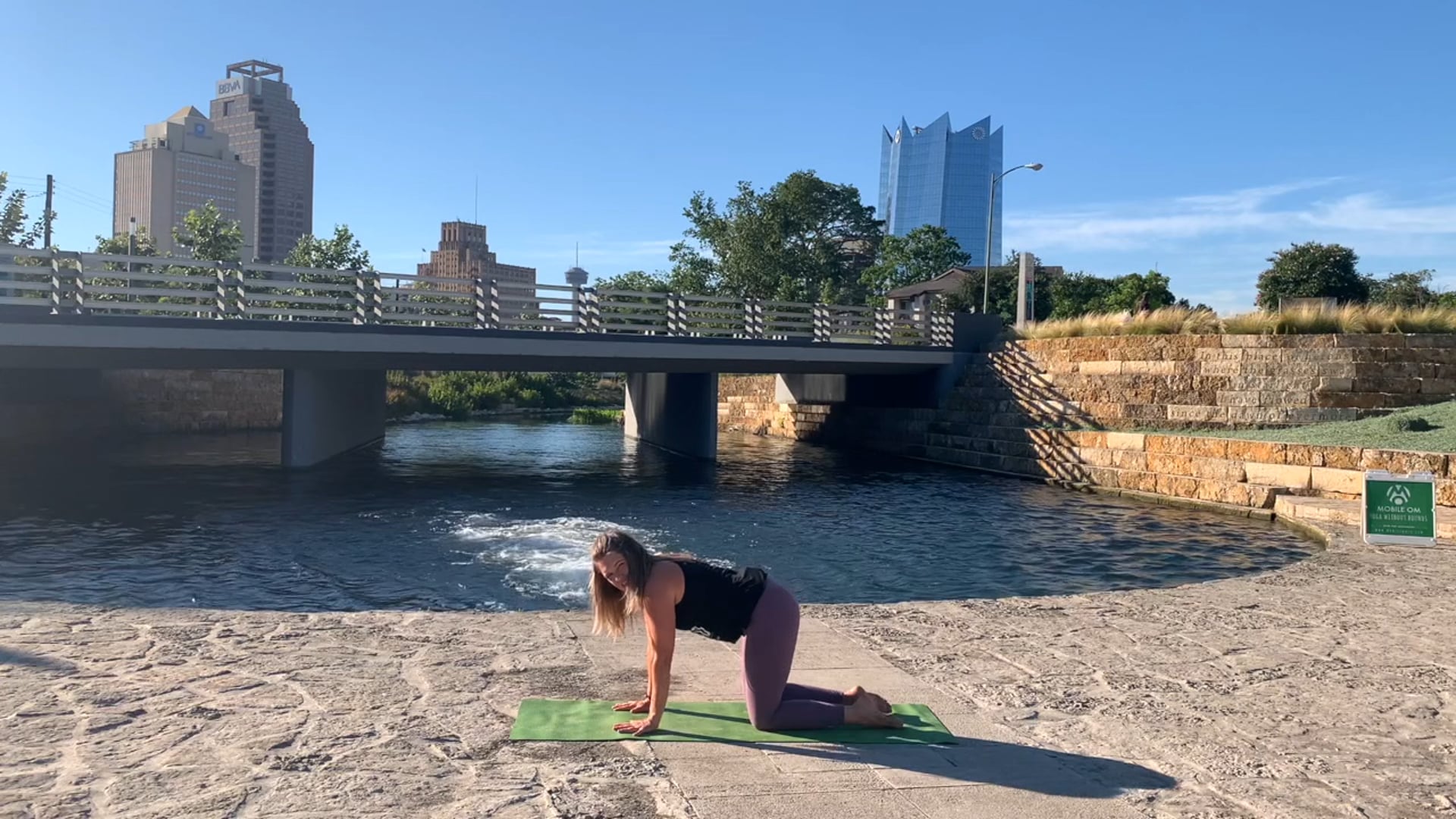 Basic + Beginner Foundational Flow 