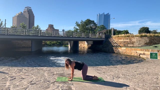 Basic + Beginner Foundational Flow 