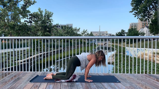 Slow & Low Flow : Full Body Stress Re...