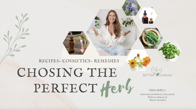 Choosing the Perfect Herb