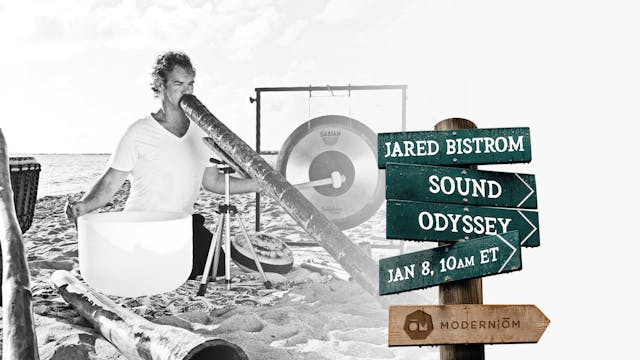 Day 8 | Sound Odyssey