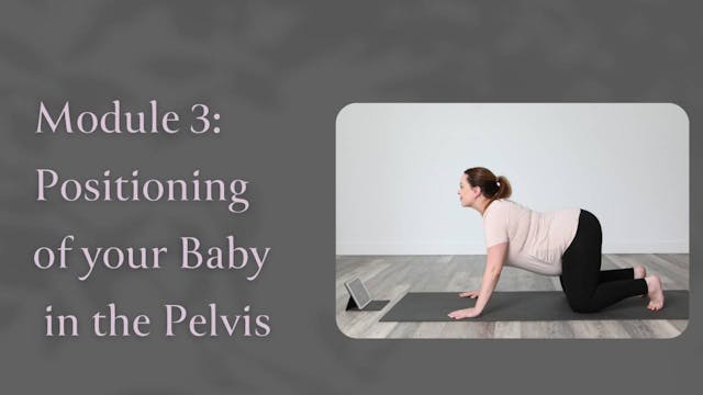 Module 3 Lesson: Positioning of your ...