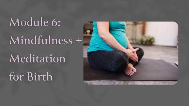 Module 6 Lesson: Mindfulness + Medita...