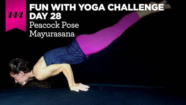 Fun With Yoga Challenge | Day 28 | Mayurasana