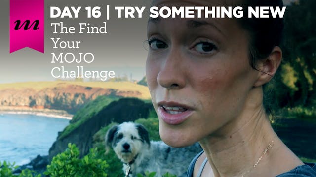 Find Your MOJO Challenge | Day 16 | Try Something New