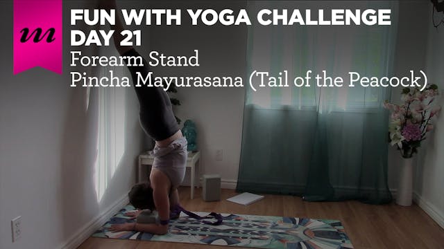 Fun With Yoga Challenge | Day 21 | Pincha Mayurasana