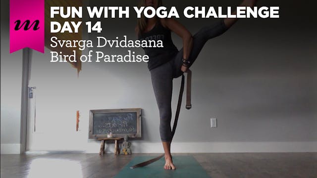 Fun With Yoga Challenge | Day 14 | Bird of Paradise