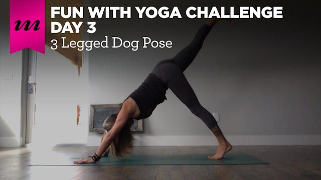 Fun With Yoga Challenge | Day 3 | 3 Legged Dog