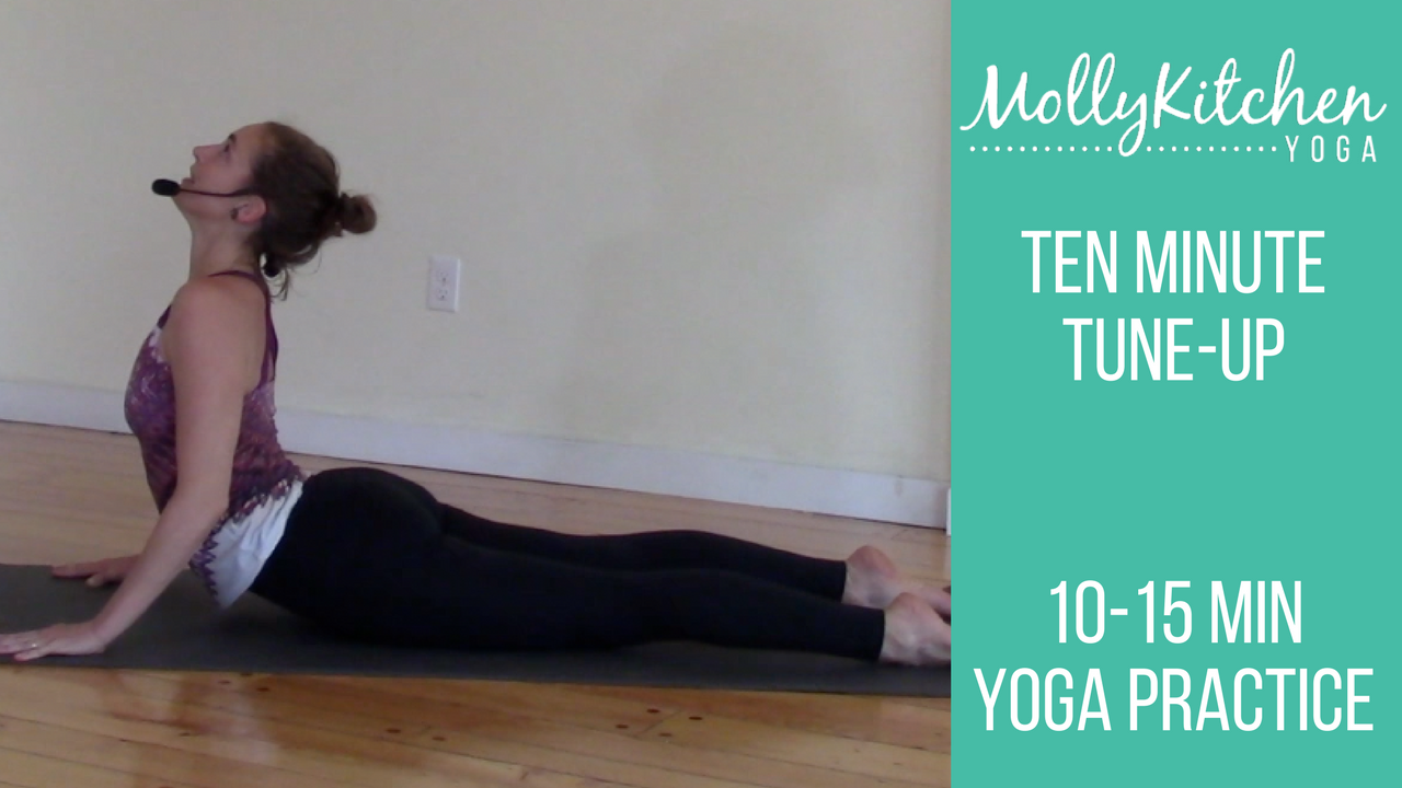 23. Quick Tune Up 15 Minute Beginner Friendly Class