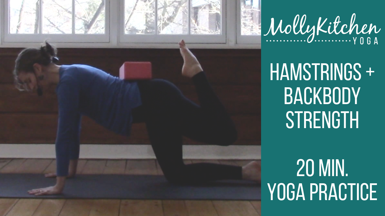 59. Hamstrings & Back Body 30 Minute Beginner Friendly Class