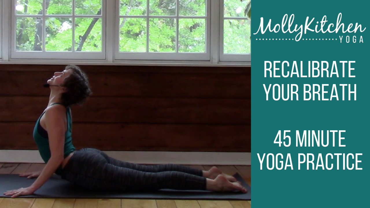 28. Breath by Breath Recalibration 45 minute Intermediate Class