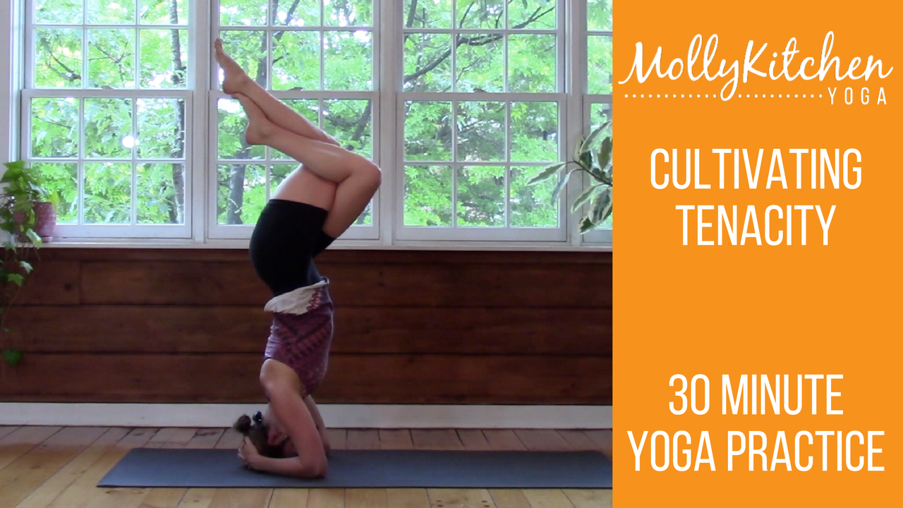 22. Cultivating Tenacity 30 minute Advancing Class