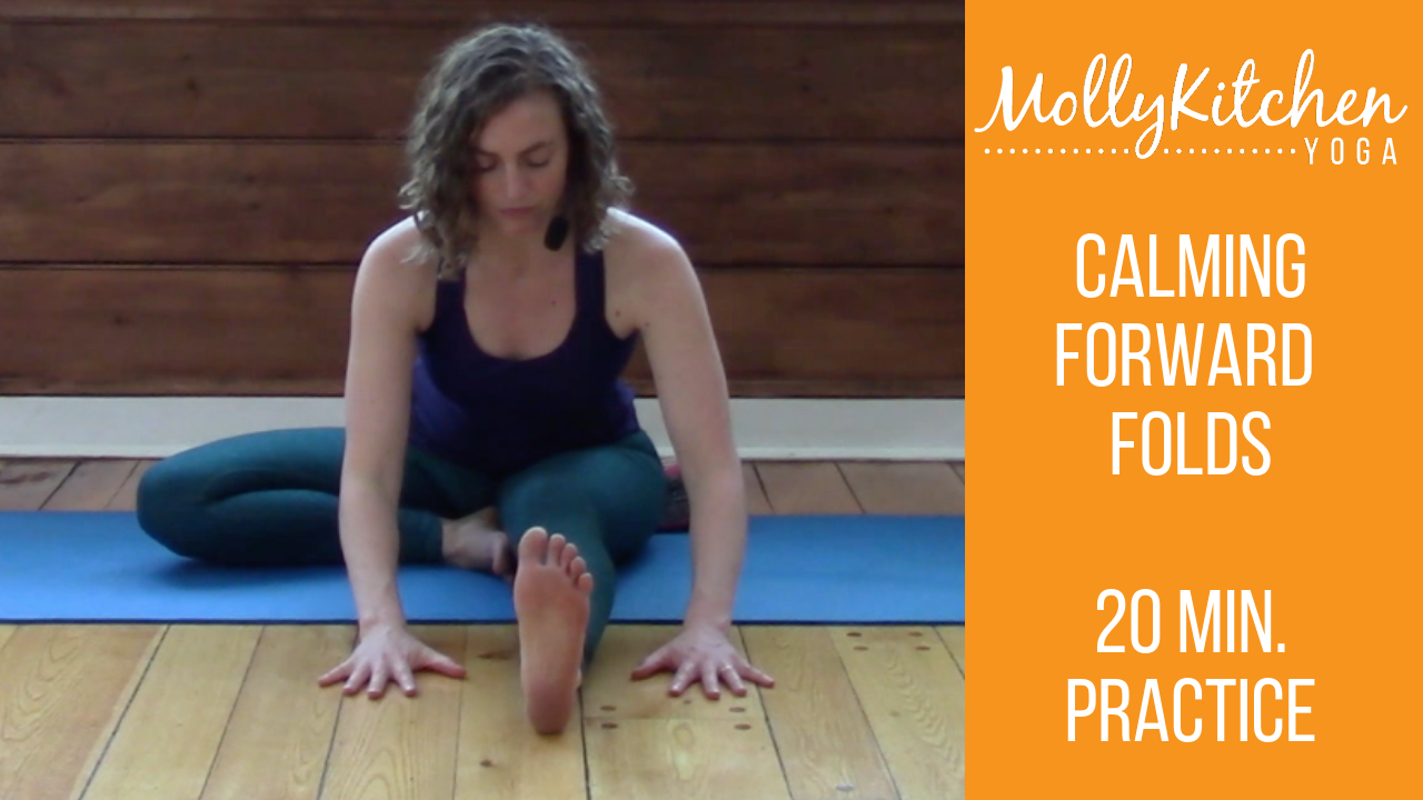 9. Calming Forward Folds 20 Minute Beginner Friendly Class