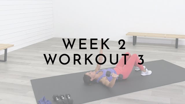 Week 2 Arms and Abs Circuit