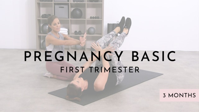 Pregnancy Basic Level: 1st Trimester
