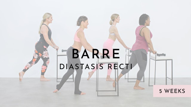 Barre Sport for mild Diastasis Recti