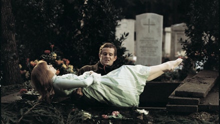 Monarex Hollywood Streaming