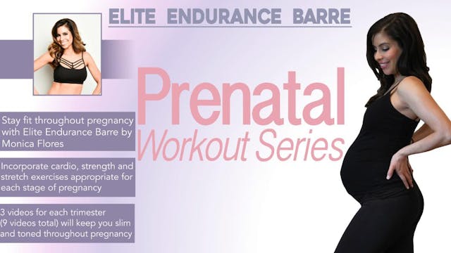 Elite Endurance Barre Fit Through Pregnancy Pack