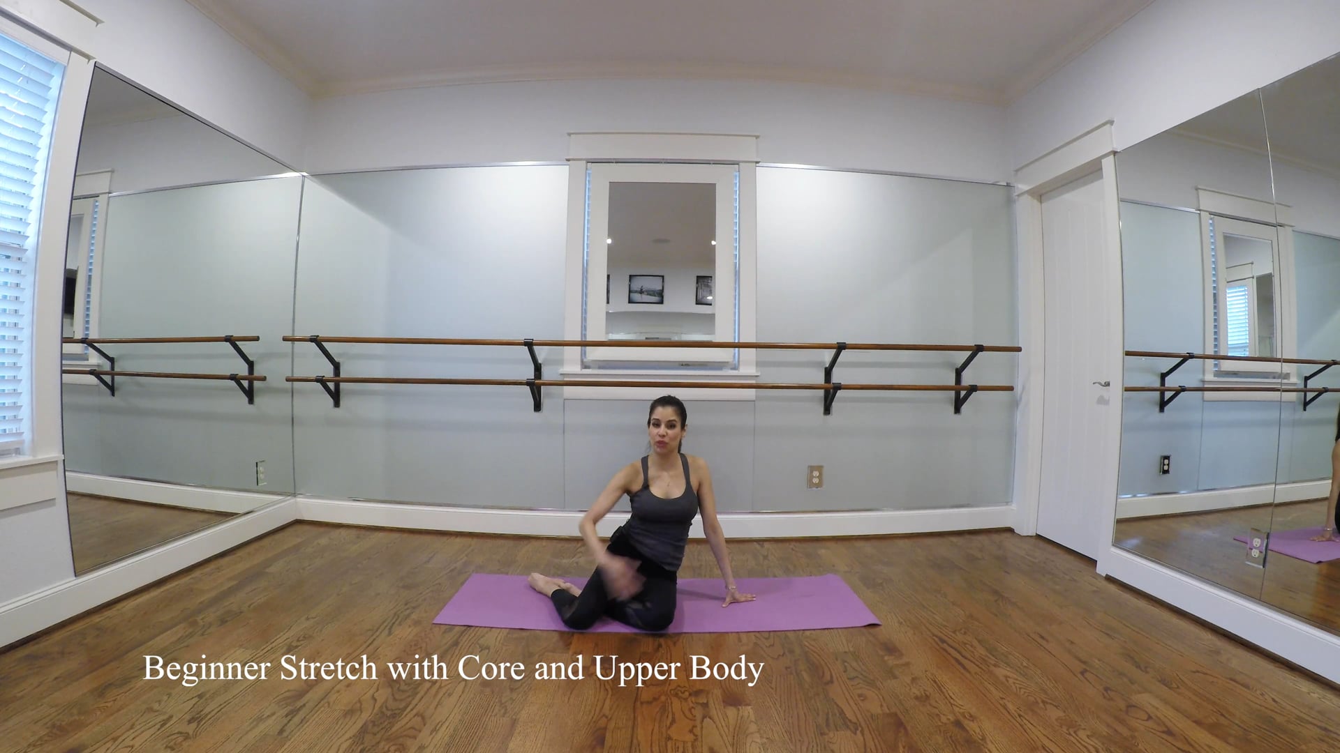 NO Equipment BEGINNER Stretch with Upper Body and Core Work