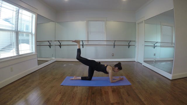 Beginner Lower Body No Equipment