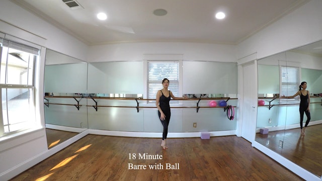 18 Minute Barre Series with a Ball