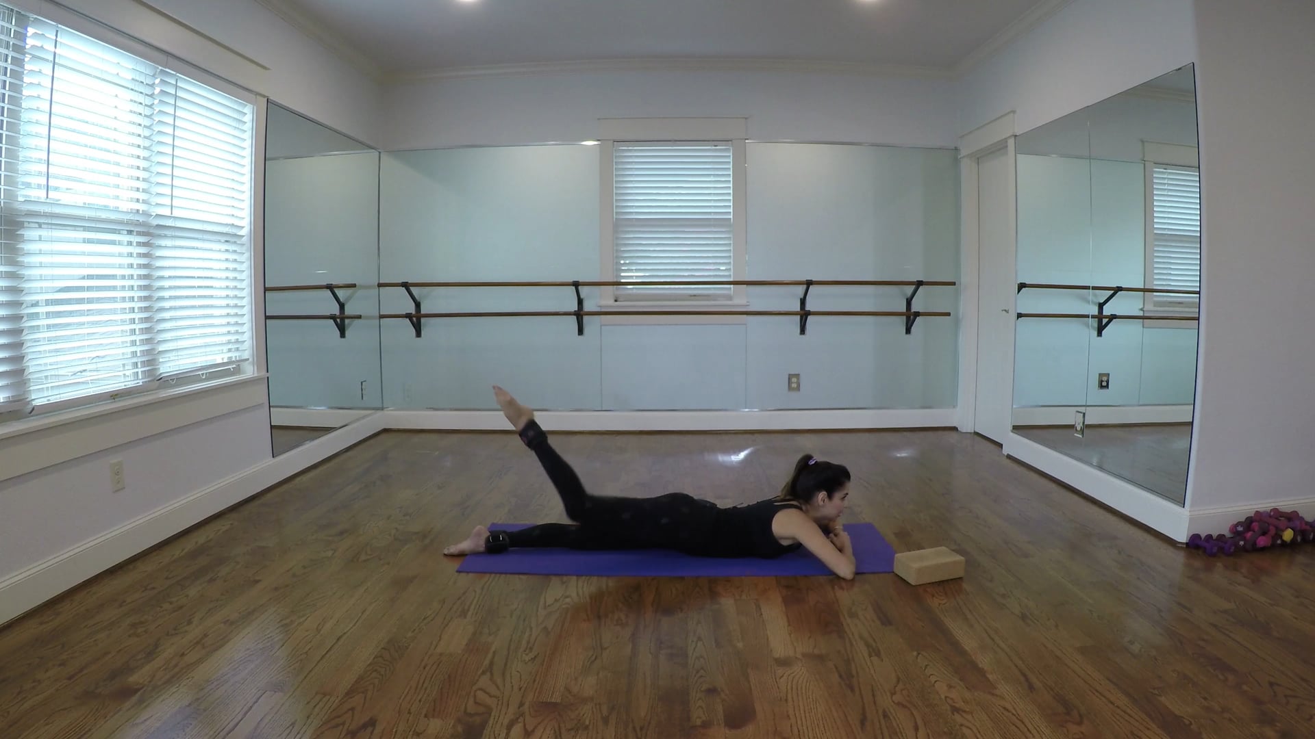 Lower Body with OPTIONAL Ankle Weights-Outer Thigh