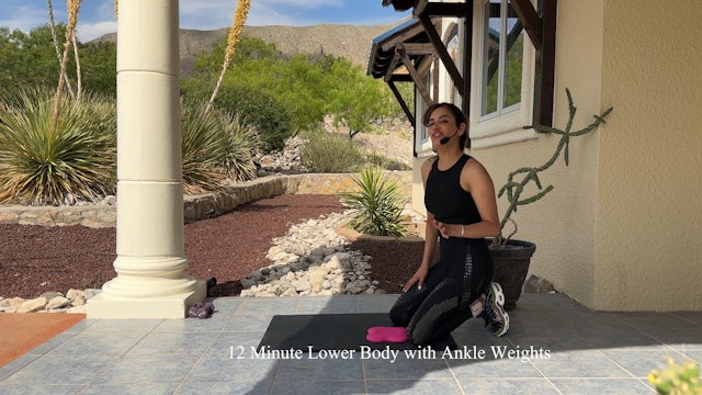12 Minute Lower Body with Ankle Weights