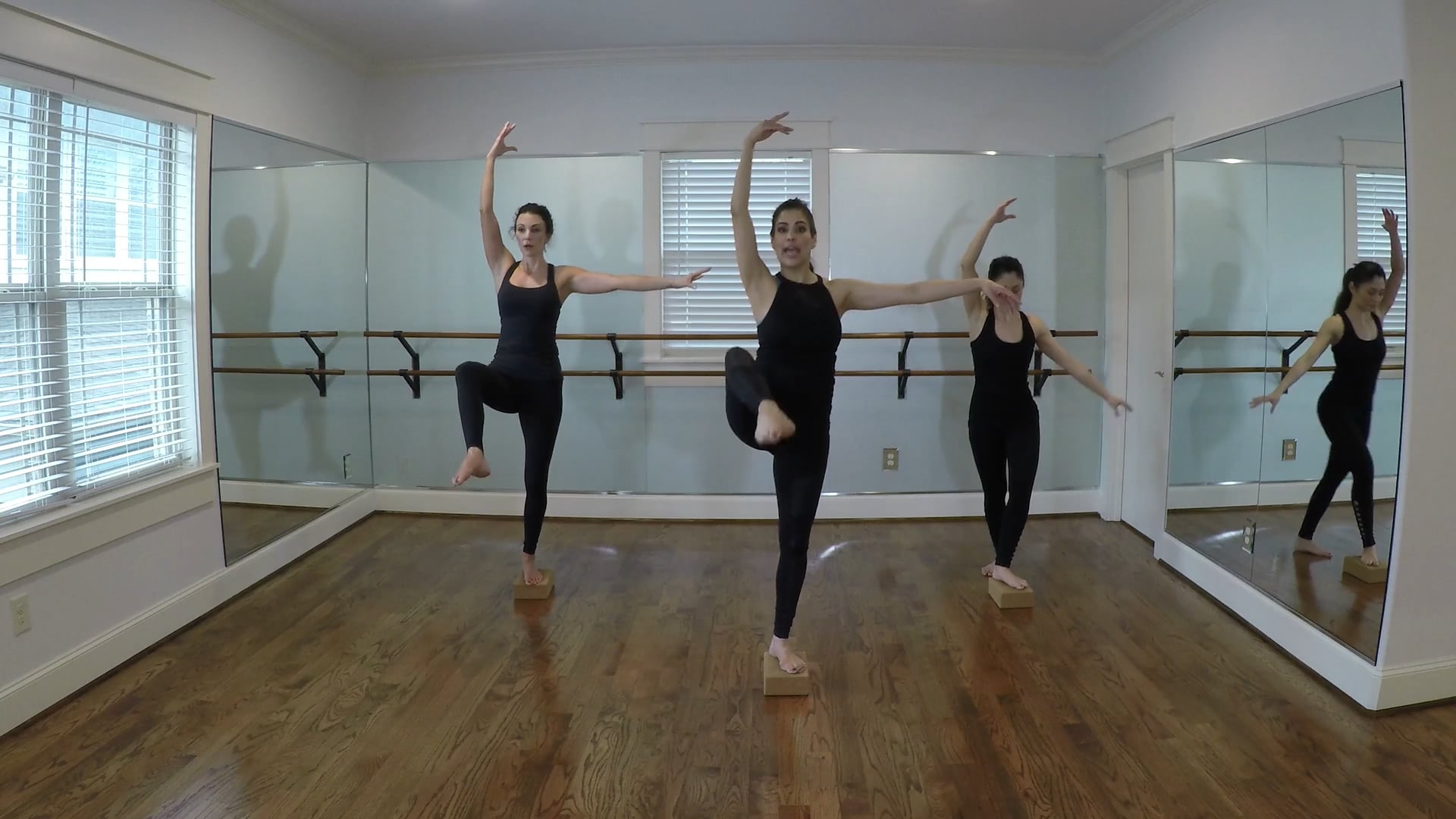 Barre with OPTIONAL Yoga Block #2