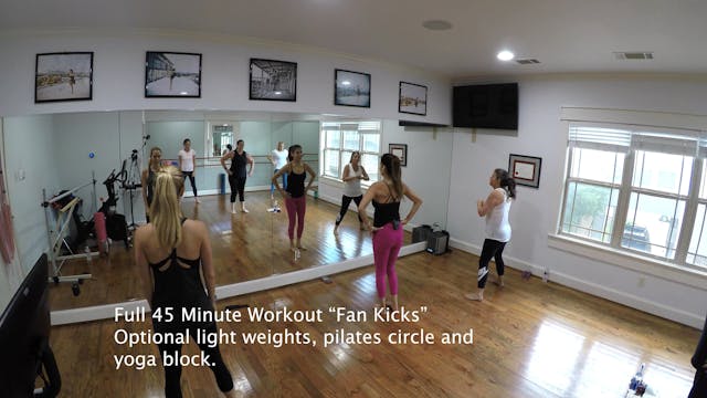 45 Minute Full Class "Fan Kicks"