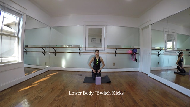 11 Minute "Switch Kicks" Lower Body