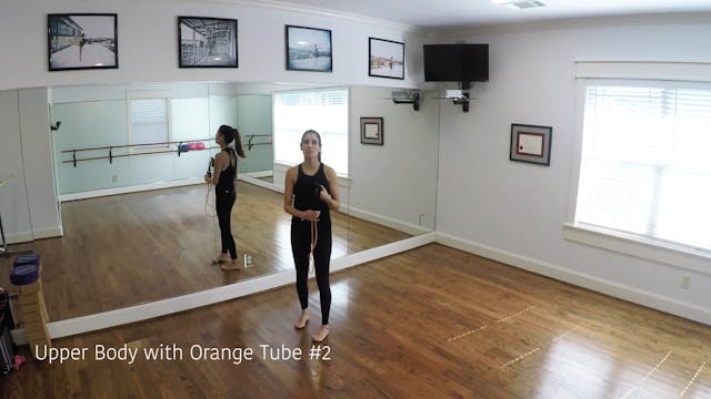 Upper Body with Orange Tube #2