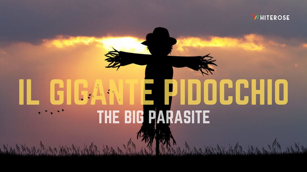 Il gigante pidocchio