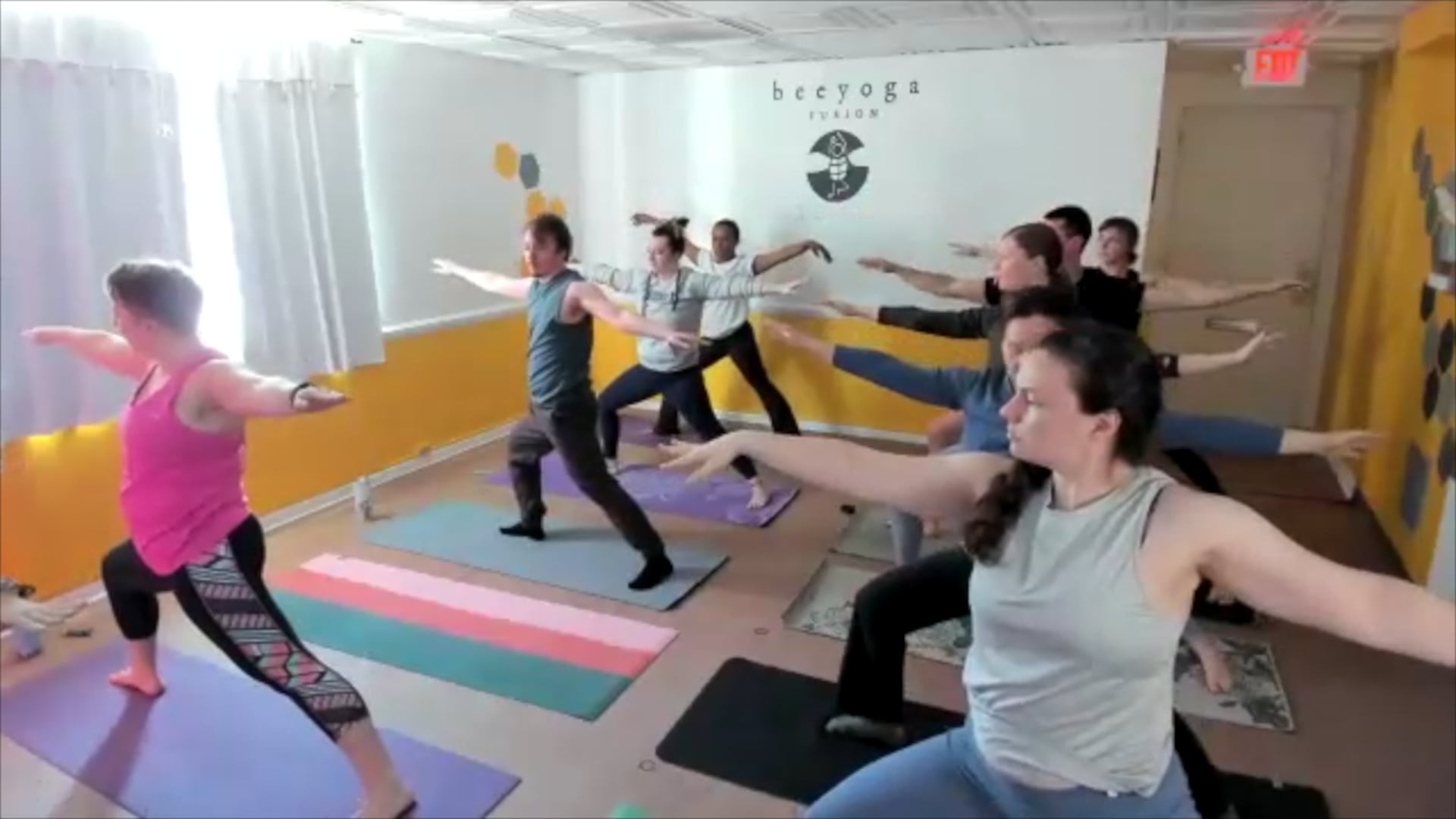 Bee Healthy TV Video