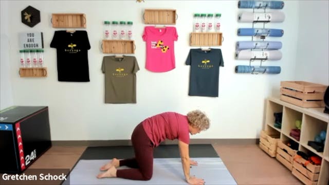 Tuesday Night All- Levels Flow 10/25/...