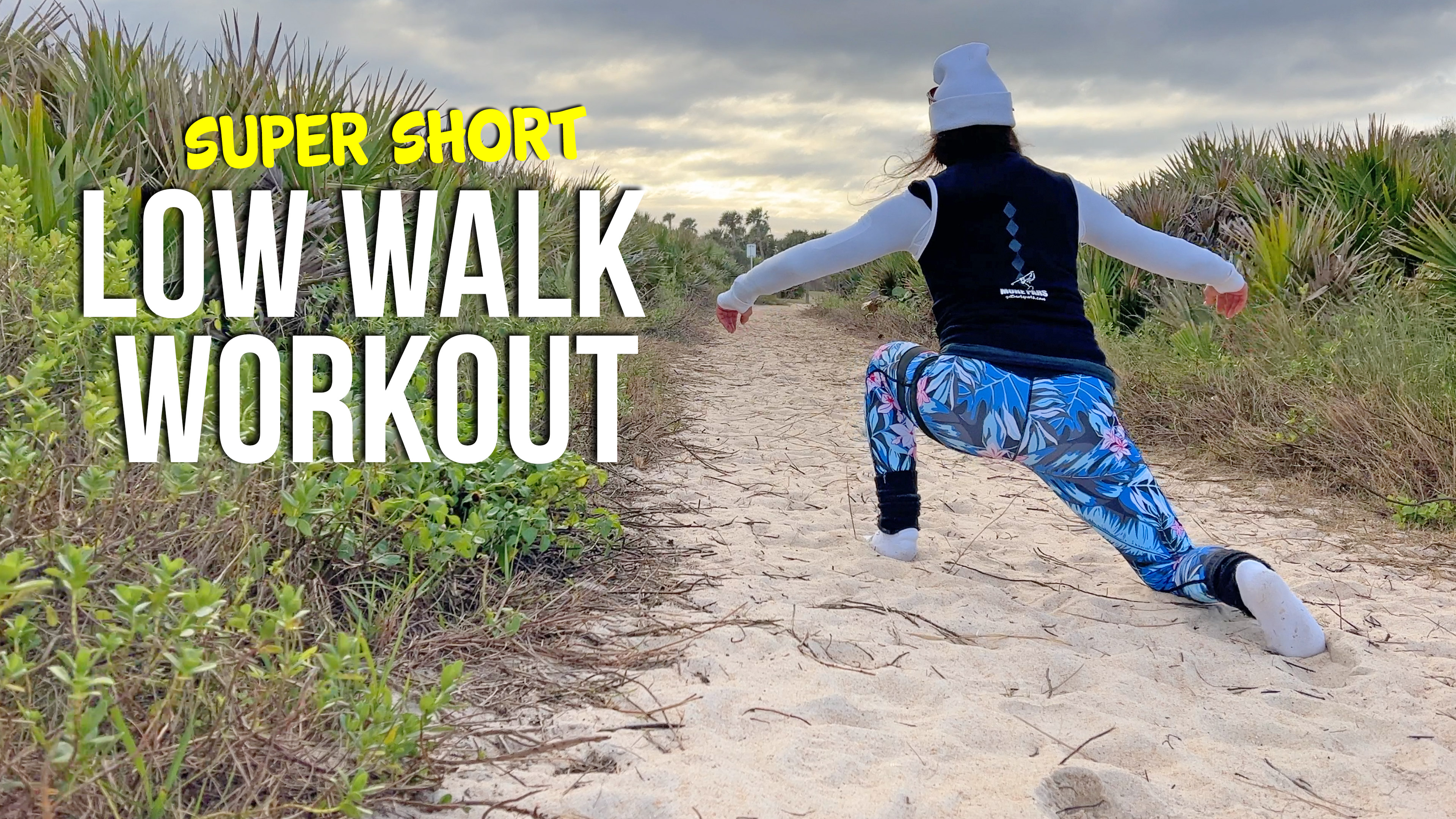 Low Walk Workout (super short)