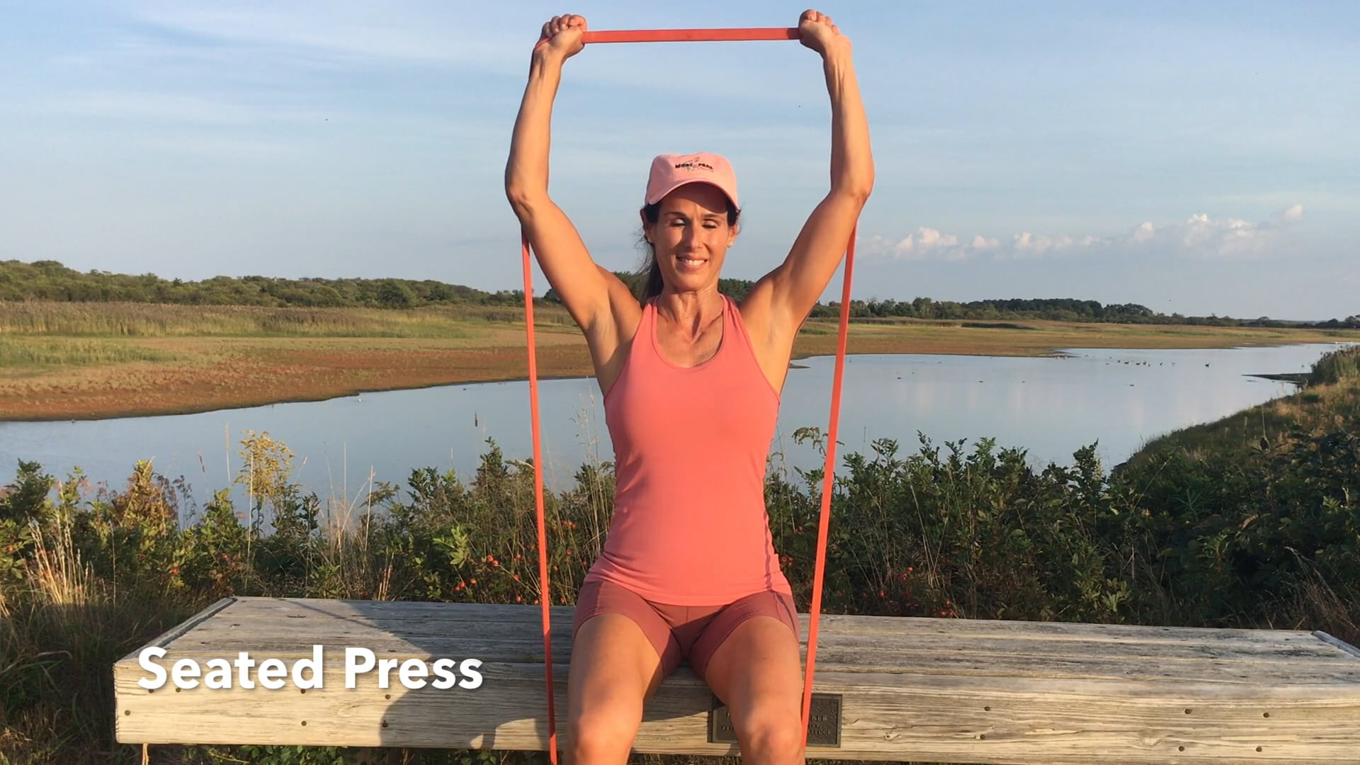 Resistance Bands - Seated Press