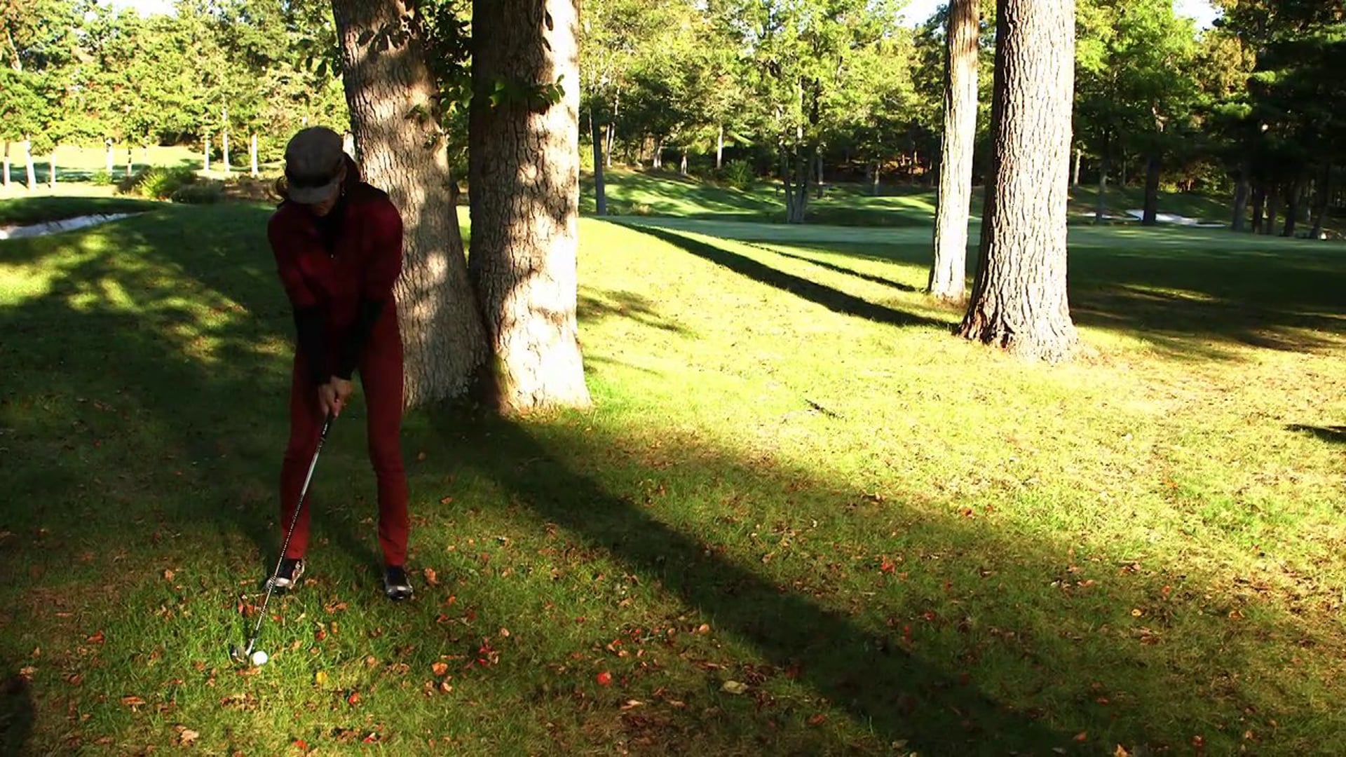 Specialty » Punch Out